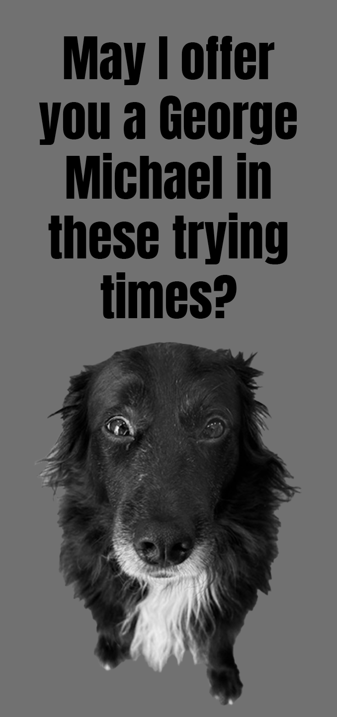 May I offer you a George Michael in these trying times? [photo of a cute dog]