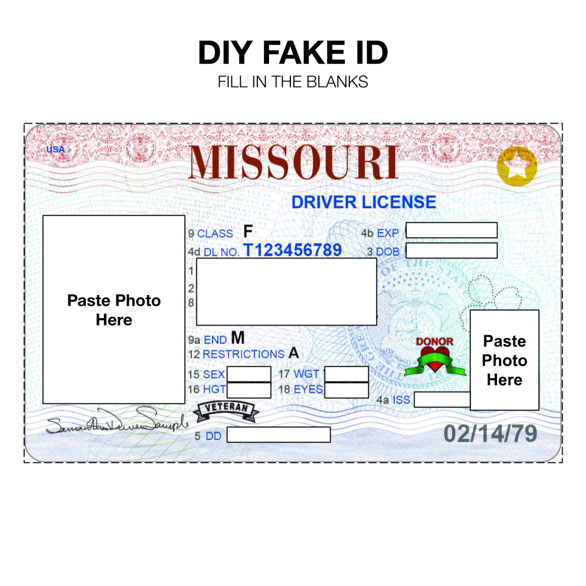A Missouri driver's license with all fields blank, labeled "DIY Fake ID".