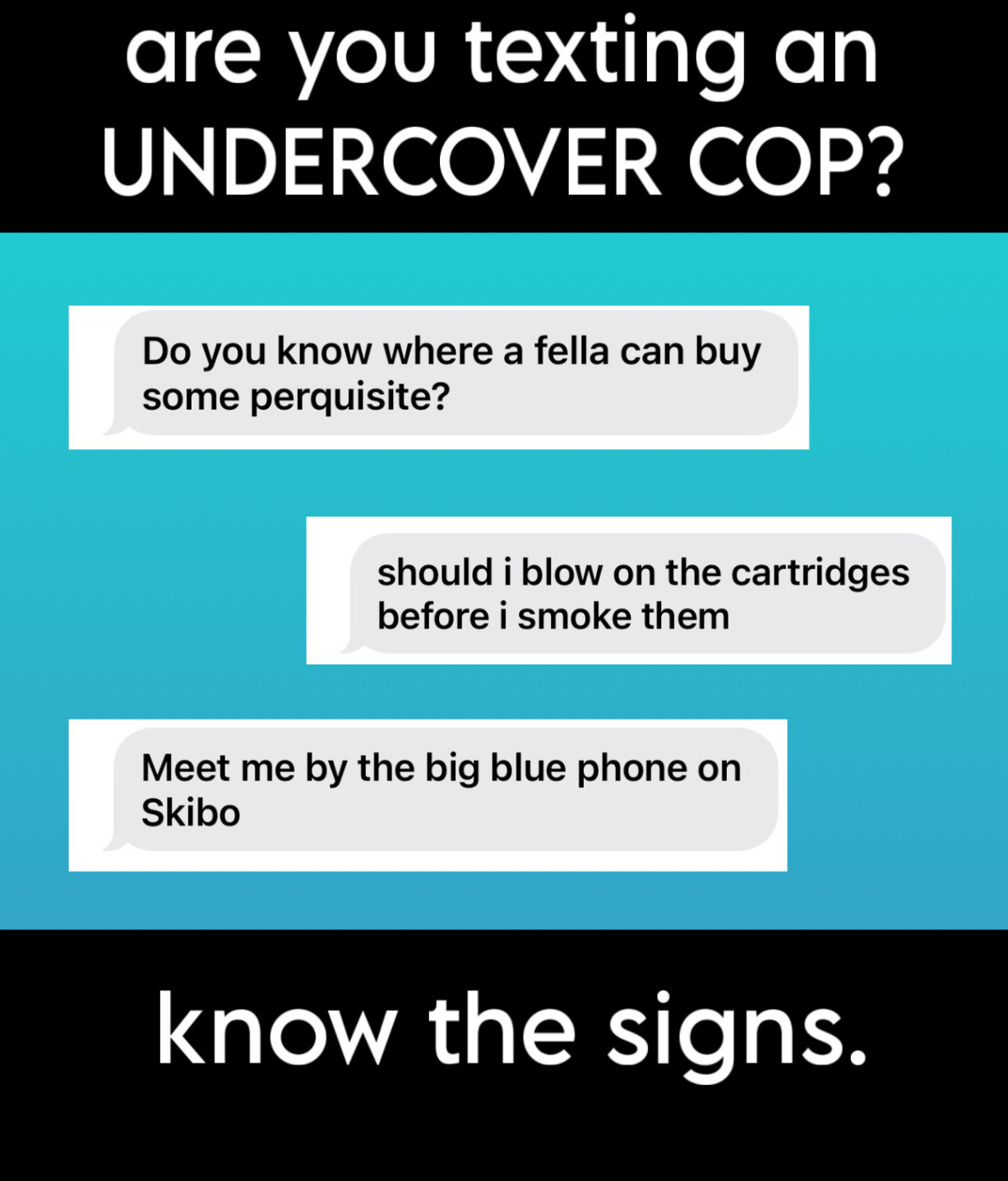 An image styled as a public service announcement stating "are you texting an UNDERCOVER COP? know the signs." It includes screenshots of three text messages: "Do you know where a fella can buy some perquisite? [sic]", "should i blow on the cartridges before i smoke them", and "Meet me by the big blue phone on Skibo"