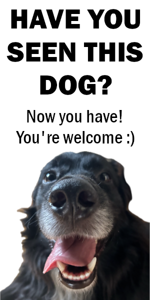 A grayscale picture of a smiling dog captioned "Have you seen this dog? Now you have! You're welcome :)"